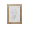 Wood Framed Coral Art