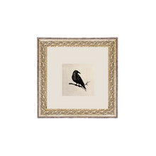 Crow