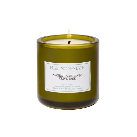 Ancient Agrigento Olive Tree Candle