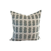 Franklin Pillow Cover