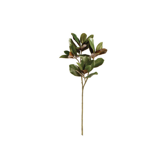 Grand Magnolia Stem