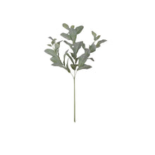  Green Leaf Branch