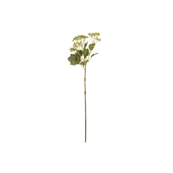 Green Berry Branch