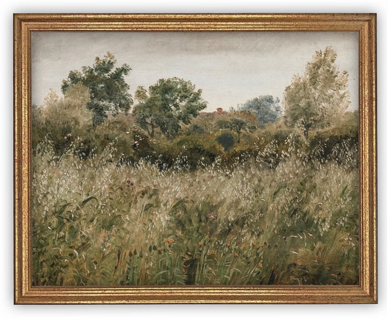 Lush Meadow