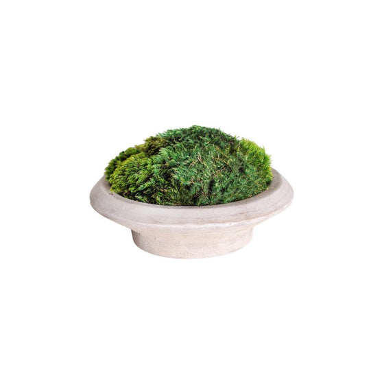 Moss Bowl