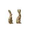 Mossy Rabbits