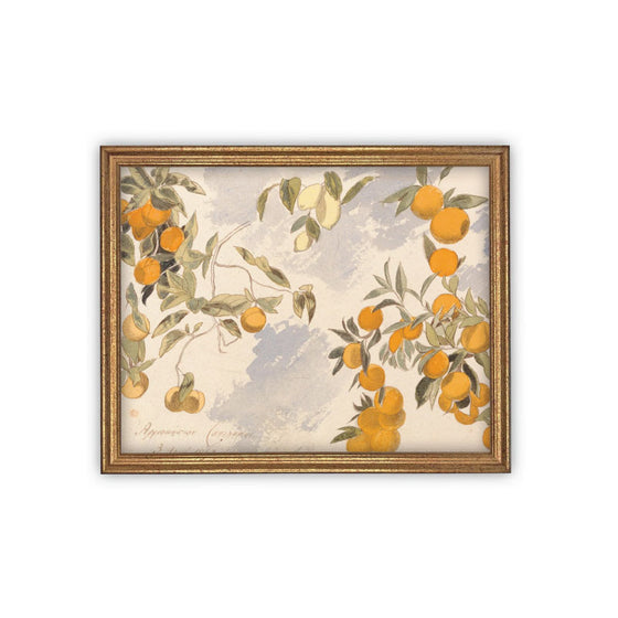 Orange Branches