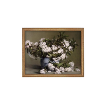  Potted White Flowers