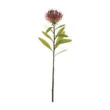  Red Protea Branch