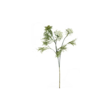  Queen Anne's Lace Stem