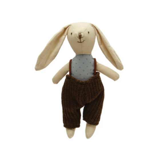 Plush Animal in Clothes