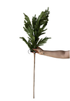 Norfolk Full Real Touch Green Faux Stems: Large Stem -42"