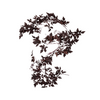 Plum Cimicifuga Seeded Garland - 6'