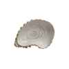 Shell Dish