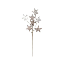  Star Branch
