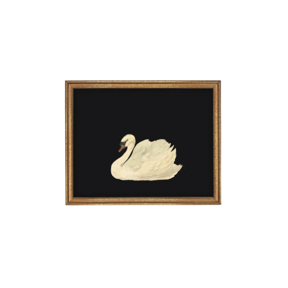 White Swan