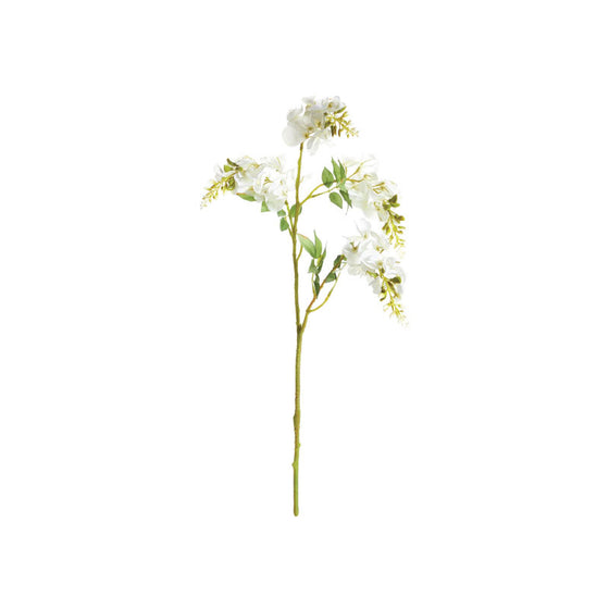 Wisteria Stem