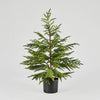 Faux Norfolk Pine Tree