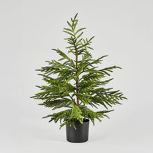  Faux Norfolk Pine Tree