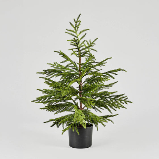 Faux Norfolk Pine Tree