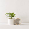 6" Minimal Planter | Glazed