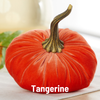 Pumpkin Large Velvet, Fall Mantel Decor, Halloween Table: Harvest
