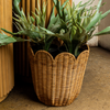 Scalloped Edge Rattan Round Basket