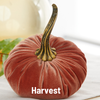 Pumpkin Large Velvet, Fall Mantel Decor, Halloween Table: Emerald