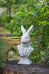 Rabbit Bust Accent