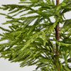 Faux Norfolk Pine Tree