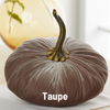 Pumpkin Extra Large Velvet, Fall Accent, Thoughtful Gift: Harvest
