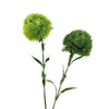21.5" Realistic Faux Dianthus Green Ball Fresh Green stem: Deep Green