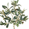 Olive Tree With Fruit In Pot 19.5"