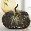 Pumpkin Extra Large Velvet, Fall Accent, Thoughtful Gift: Harvest