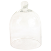 Small Glass Dome