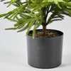 Faux Norfolk Pine Tree
