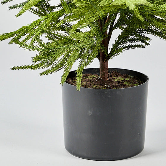 Faux Norfolk Pine Tree