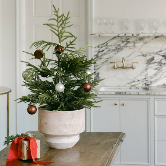 Faux Norfolk Pine Tree
