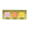Garden Party 2026 3pc Bento Box