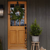 Faux Norfolk Pine Tree