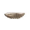 Shell Dish