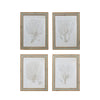 Wood Framed Coral Art