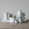 Ribbed Pitcher