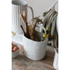 Handled Vase