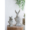 Rabbit Bust Accent