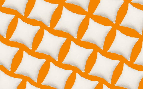 White Goose Feather Cushions: 26" x 26" / Medium
