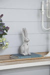 Rabbit Statue