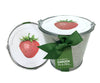 Garden in a Pail- Strawberry