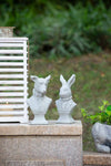 Rabbit Bust Accent
