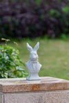 Rabbit Bust Accent